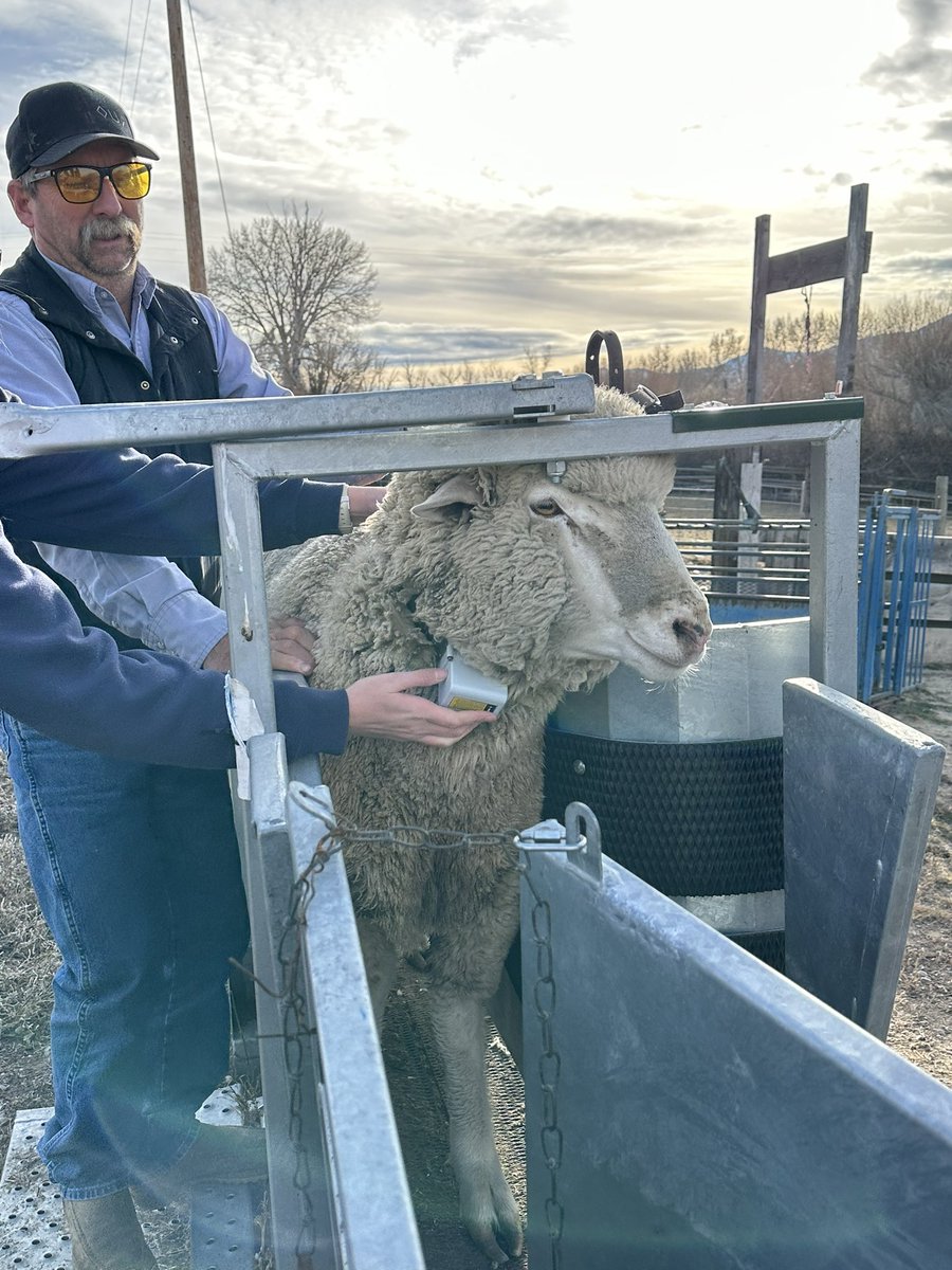 Jared Beaver tweet media