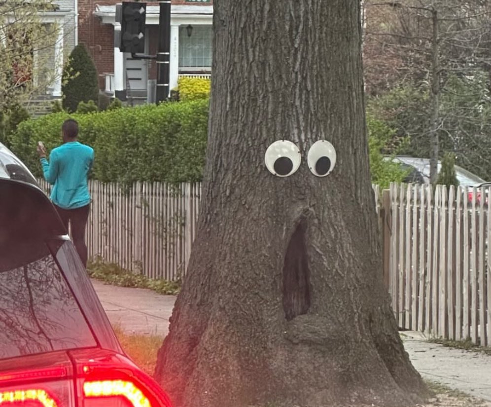 the tree is fucking horrified by your life choices