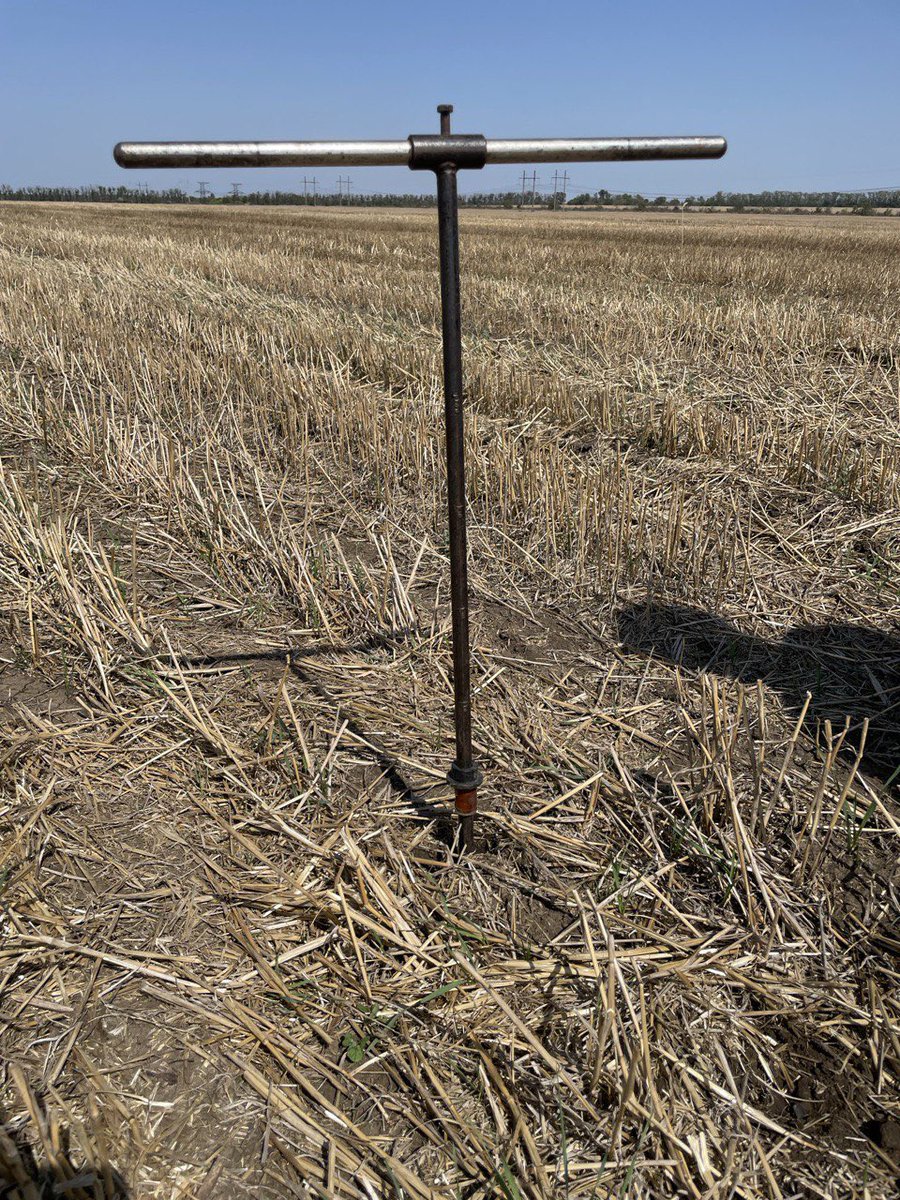 Alexander Murzak tweet media