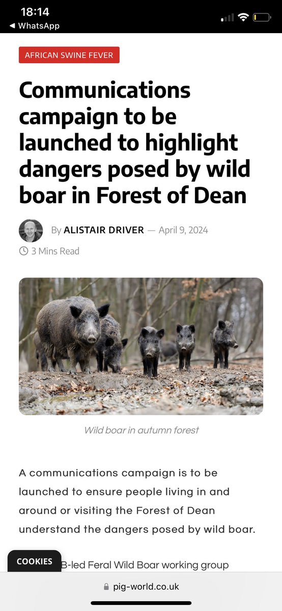 You could not make it up. A magazine called pig world which squeals the views of the intensive pig industry is sitting down with APHA - who may well be in their poke and the FC who should not be - the future of wild boar in Britain. No other orgs can input. Just the killers.