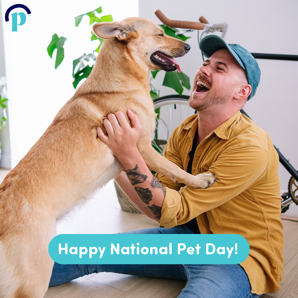 Happy #NationalPetDay 🐾 - DYK pet owners are generally happier, more active, and experience less stress/anxiety? Give your pets a little extra love today and remember that all plans offered at through Pennie cover mental health services! Learn more at pennie.com!