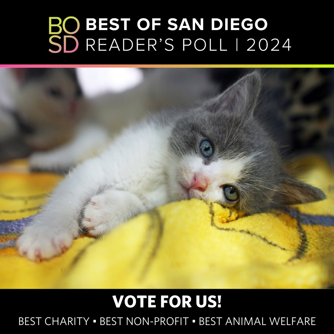 ⏰Hurry!⏰There are just 24 hours left to vote for San Diego Humane Society as Best Charity, Best Non-Profit and Best in Animal Welfare in San Diego Magazine's Best of San Diego Reader's Choice 2024! Share your support by voting for us at SDMag.com/Bestof24!