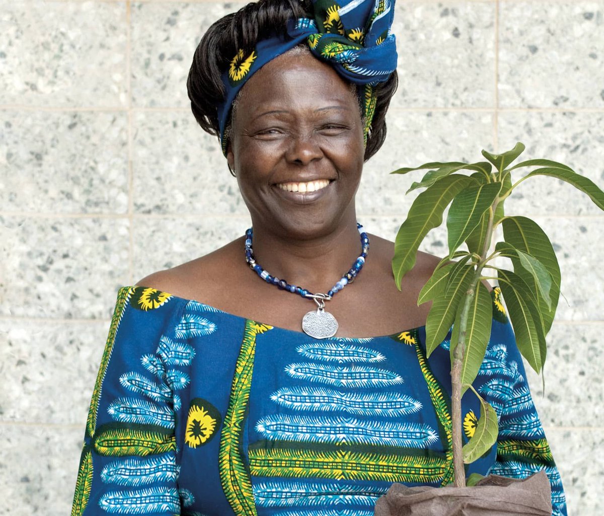 Happy #WomeninSTEMWednesday! Today we are highlighting Wangarĩ Maathai, an environmental activist who founded the Green Belt Movement (GBM) and the first African woman to win a Nobel Peace Prize.