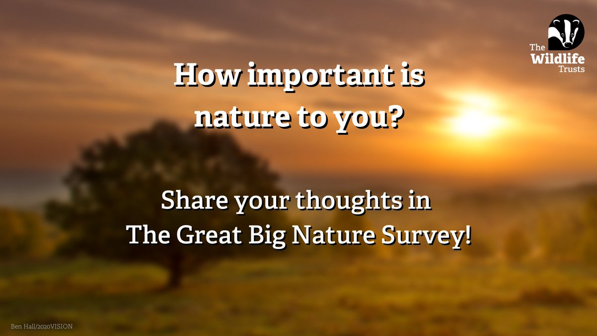 We've created The Great Big Nature Survey, designed to give you a say on nature and wildlife. 💚 How often do you get out into nature? How important is nature to you? We want to know your views on all this and more! 💪 wildlifetrusts.org/great-big-natu…