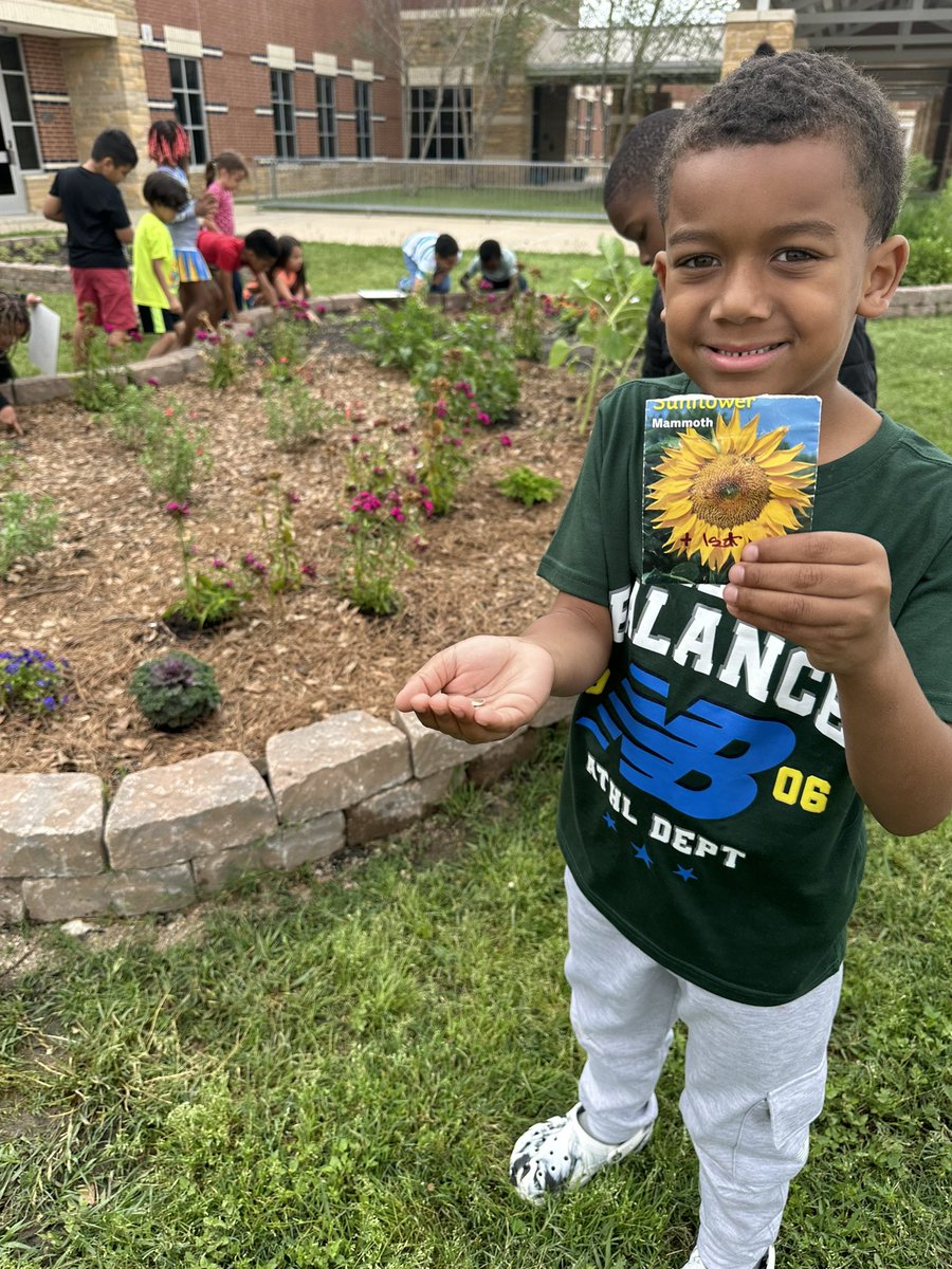 Planting sunflower 🌻 seeds and loving the aroma of lavender 💜 in their #readytogrowgardens #schoolgarden @EmeryElementary @CyFairISD #outdoorclassroom