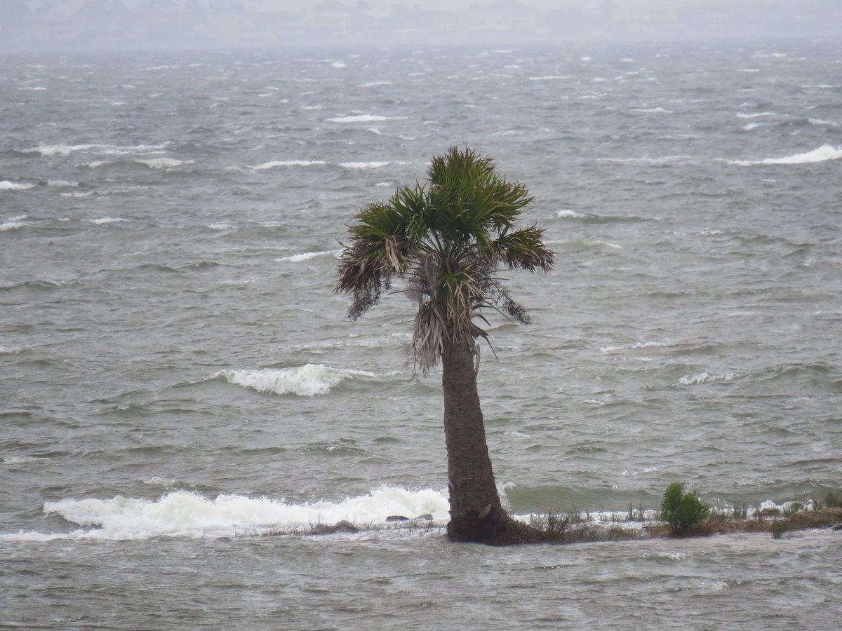 Pensacola Bay getting rough ahead of the first line of storms. @weartv @spann 📸 H Crenshaw #severeweather @NWSMobile