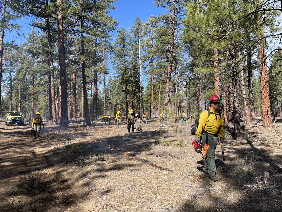 🔥Test fire on SAFR Prescribed Burn 2 miles west of Sisters & north of Hwy 242 is successful. Firefighters are proceeding with ignitions on up to 104 acres of prescribed burning to reduce wildfire risk to the Tollgate community and the community of Sisters.