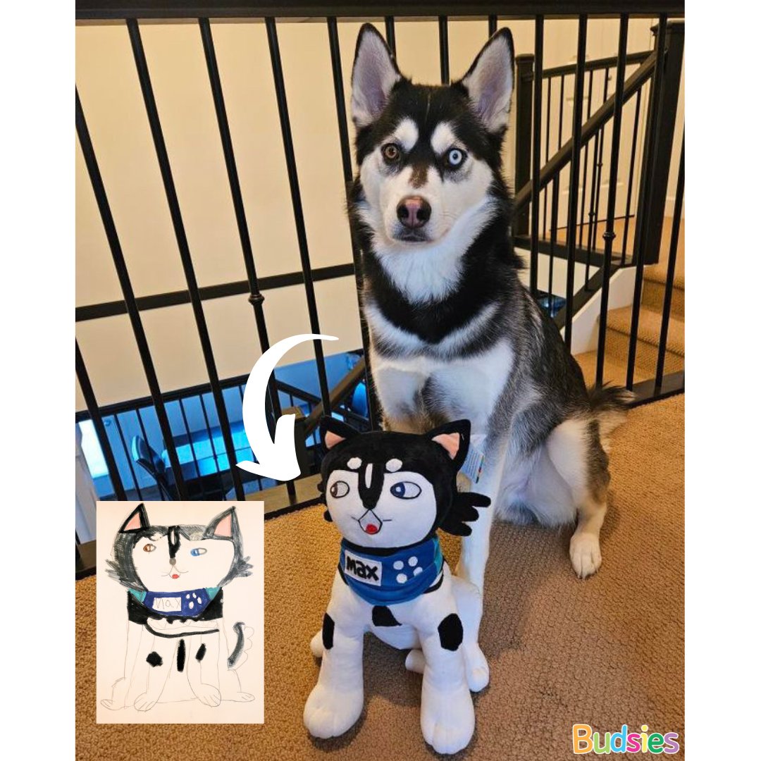 Did you know we can turn drawings of your adorable pet into a Budsie plushie? From cats to dogs, any pet! Order a custom plush of your art at Budsies.com today! 🐾 🐕 🐱 🐰