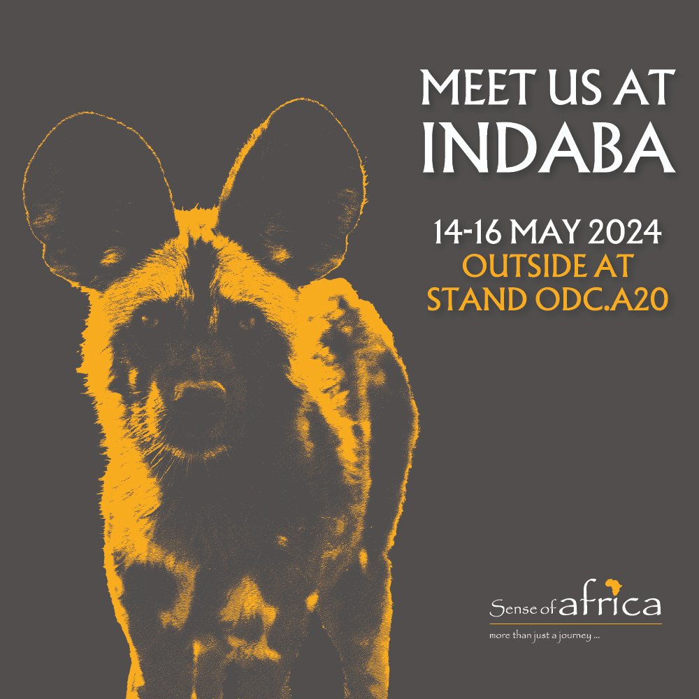 Meet us at Indaba! 

Meet our team at the #TourvestVillage (Outside at Stand ODC.A20) from 14-16 May 2024. 

To set up a meeting time please contact us at: sales@senseofafrica.co.za

#AfricanFootprint #WeDoTourism #TourismStrong #Connect #Indaba2024 #Indaba #Durban