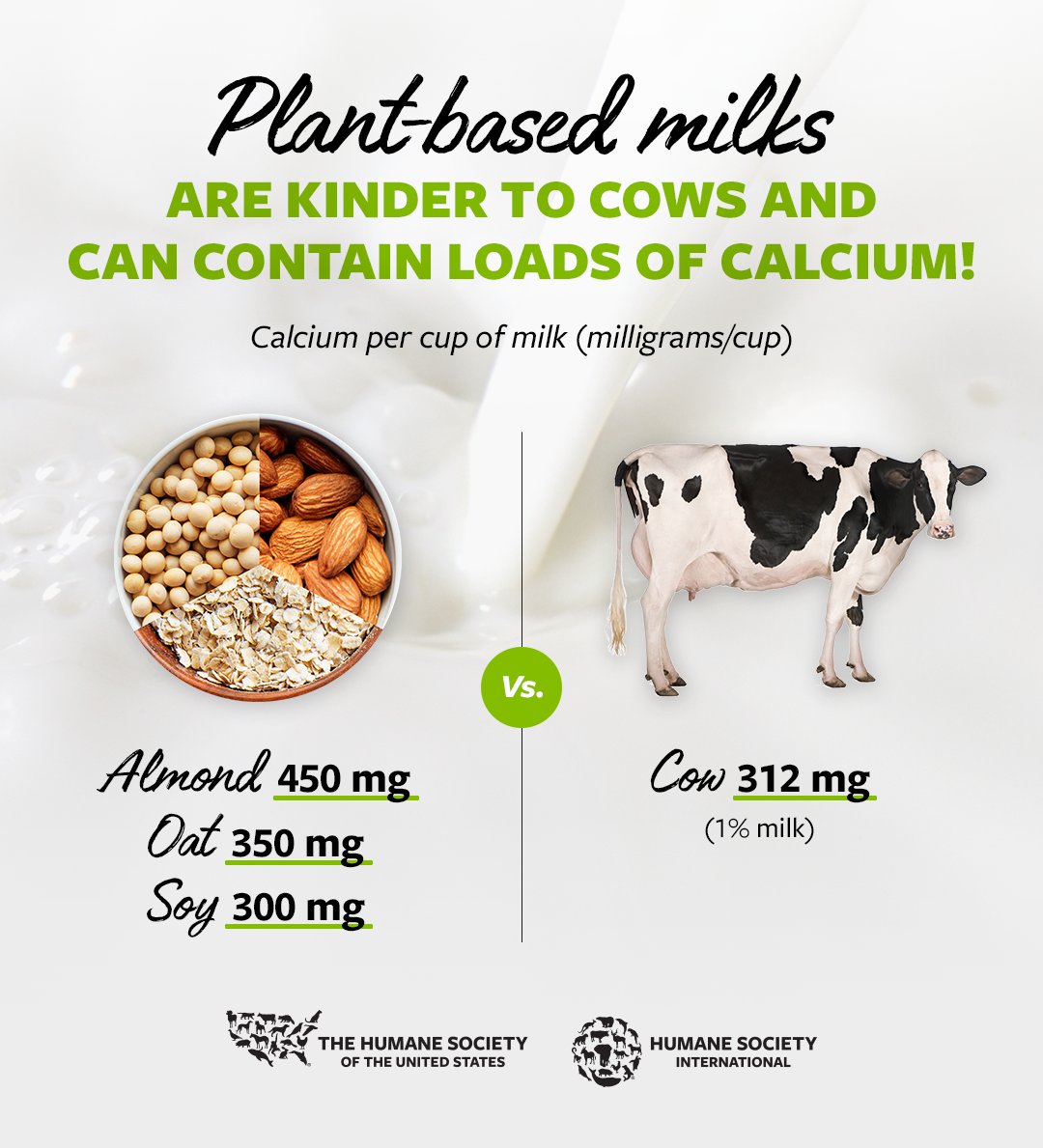 Did you know plant-based milks are often packed with calcium? From creamy oat milk to nutty almond milk, there's an animal-friendly alternative for every taste bud. Which plant milk is your favourite? 💚🐄🌱