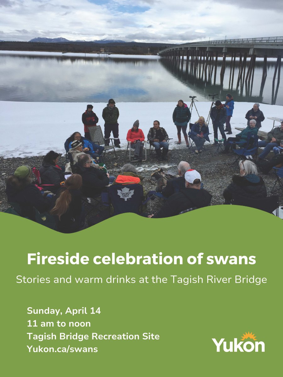 Join us for a celebration of swans at the Tagish River Bridge on Sunday at 11 am. Carcross/Tagish First Nation Elders will share stories about the significance and cultural connection to these majestic birds. Bring a mug, camp chair &amp; warm clothing so you can sit back and relax.