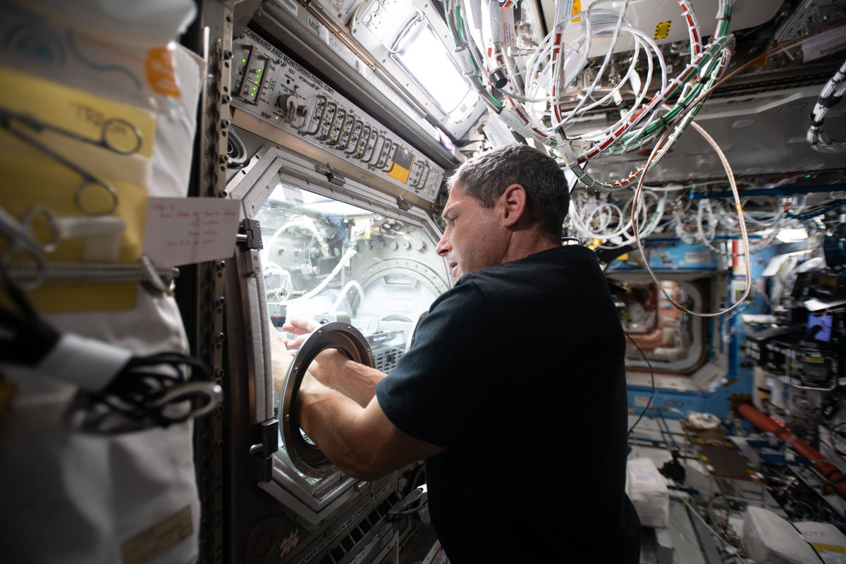 Gravity degrades optical fibers during manufacturing. The @Space_Station could provide a platform for commercial fiber production, benefiting industries like medicine, defense, and cybersecurity. Learn more: go.nasa.gov/43zwZRc