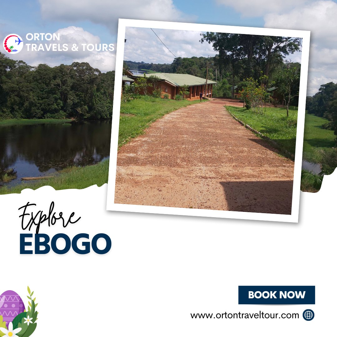 With departures from Yaounde, join our exciting leisure travels to Ebogo and connect with nature.

#Cameroon #Yaounde #Ebogo #excursion #leisuretravel #travels #smallgroups #groups #associations #fieldtrip #studytrip #forests #rivers #nature