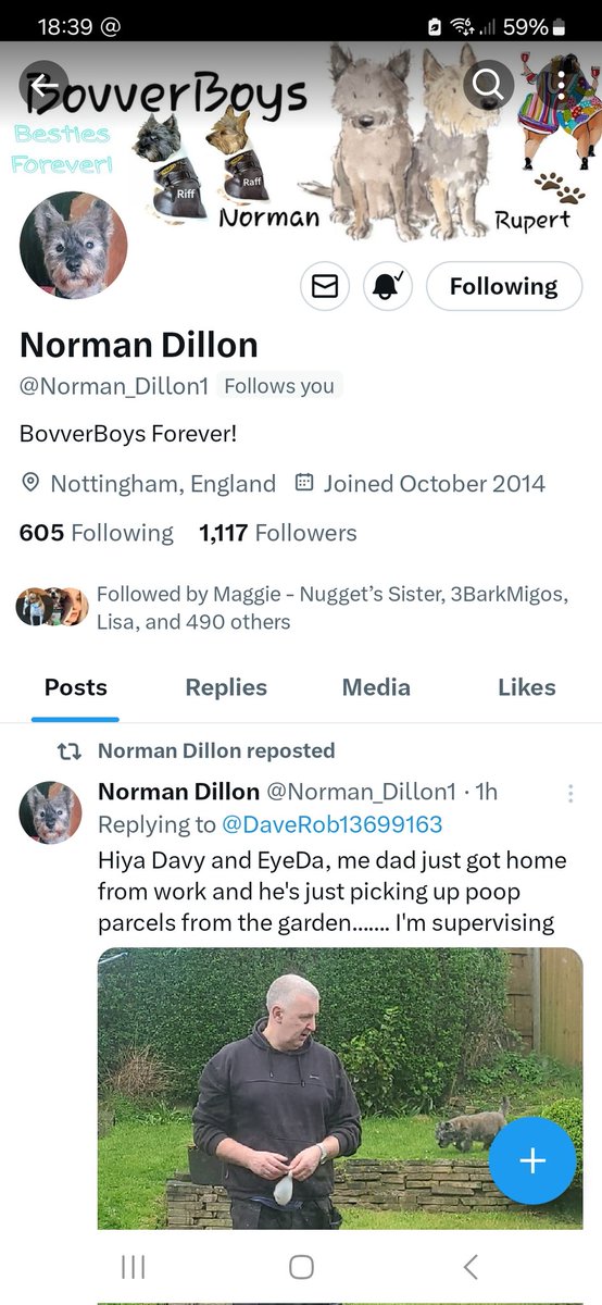 My bestie Norman needs to get all his friends back.....he's still missing just under 9,000!!!!! Please follow him on this account if you used to follow him before....he misses you all ❣️❣️❣️