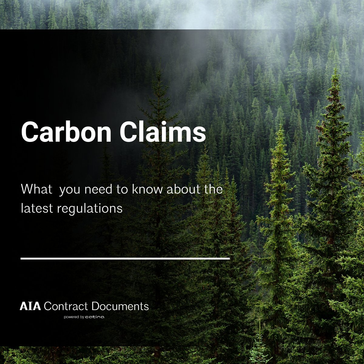 The Voluntary Carbon Market Disclosures Act requires entities to disclose information about their carbon claims and the basis for those claims. For California-based building professionals, understanding AB 1305 is a must: bit.ly/3Js3YOh #CarbonClaims #construction
