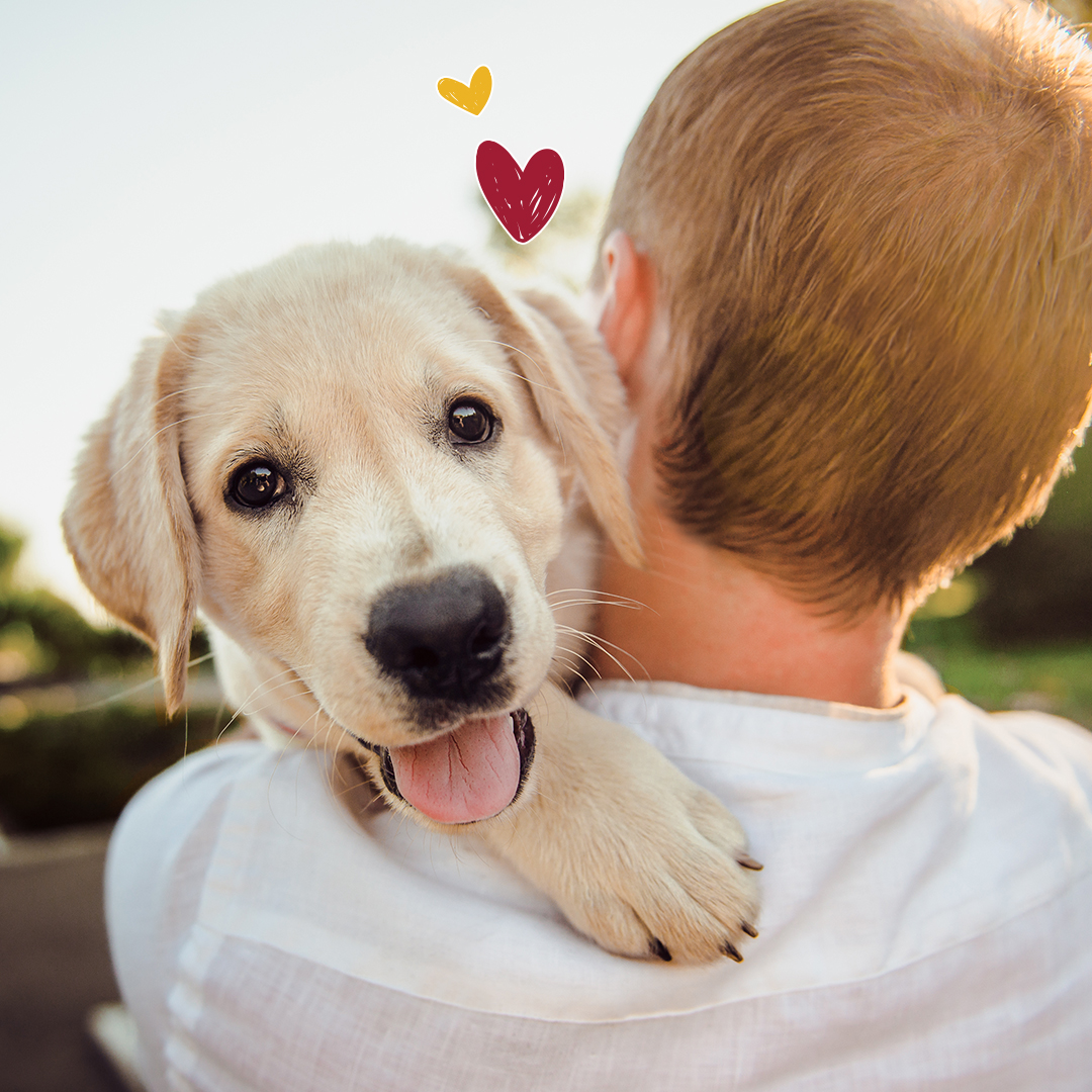 🛑 Stop scrolling, start squeezing! #NationalHugYourDogDay

#CadetPet #doghug #doghugs #hugyourdog