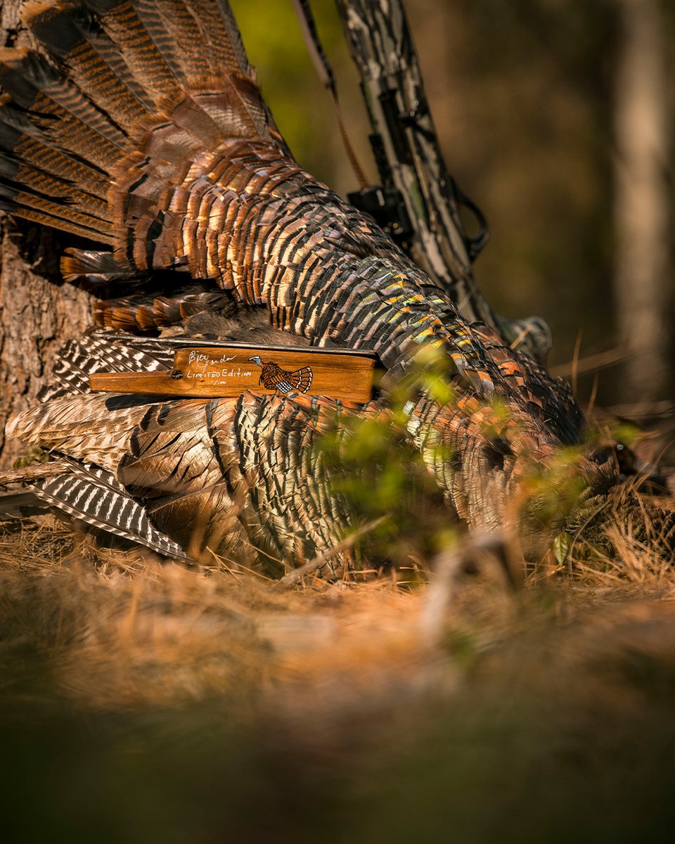 Realtree's tweet image. Nature&apos;s colors cannot be copied.

#Realtree