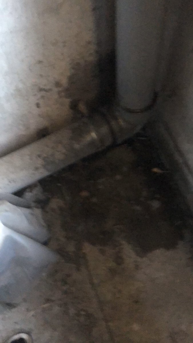 fuk_noshon's tweet photo. 上げ直し(13)
古びたマンションの半地下駐車場の隅っこで💦
朝イチで溜まりまくってたからめっちゃ出たww
雨で流れないし掃除もされないところって、おしっこの臭いと跡が染み付くから最高だねっ🤭
#おしがま #野外放尿 #立ちション https://t.co/2nWUmLgNUJ