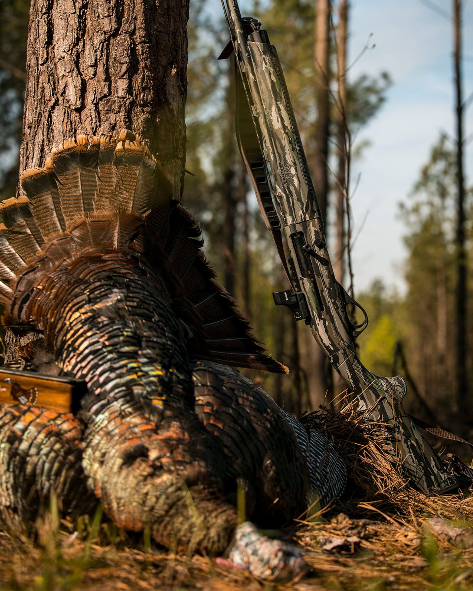 Realtree's tweet image. Nature&apos;s colors cannot be copied.

#Realtree
