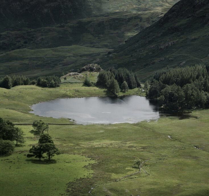 studybcac's tweet image. oq o pinterest pensa sobre tu?

aura 
color
album 
scenery