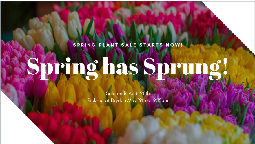 Support a great cause and purchase your spring plants and vegetables through Dryden's Annual Spring Plant Sale! 

Sale ends April 28th

Pick-up at Dryden May 19th at 9:15am

…spring-plant-sale-56515.cheddarup.com