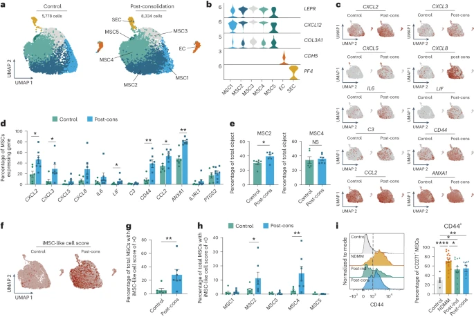 An IL-1β & BAFF driven neutrophil–stromal cell feed-forward loop driving tumor-supportive inflammation that persists after treatment of multiple myeloma @TCupedo @maadulon @NatImmunol nature.com/articles/s4159…