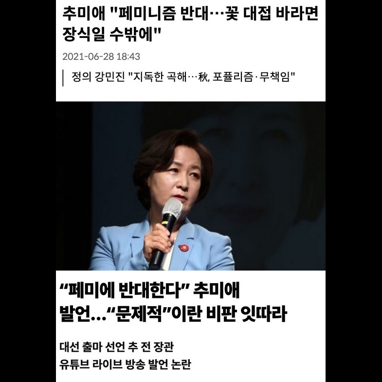 트위터는 추미애 당선 왜이렇게 기뻐하지. 아까 이수정이 여성차별 경험해본적 없다고 발언한 걸로 또 만단위로 rt태우며 까대더니. 추미애 이런 발언은 문제 없어? 난 이제 쟤네가 페미니즘을 하고 싶은건지 뭔지 잘 모르겠다. 언제부터 그렇게 민주당 후보들이라면 다 덮어두고 쉴드쳐줬나 싶고.