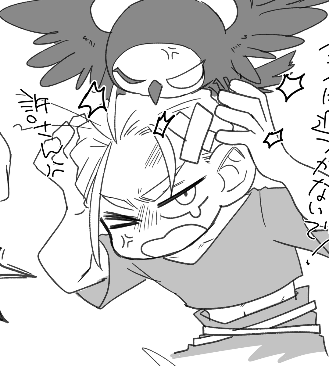 夜行さんのフクロウを懐柔する白鷹 