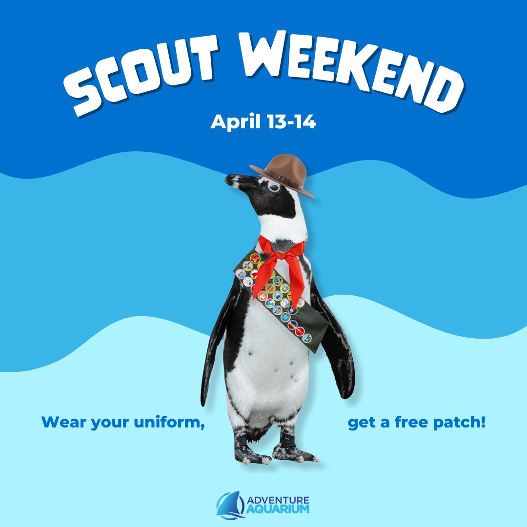 Dive into Scout Weekend at Adventure Aquarium! On April 13-14, scouts can enjoy discounted admission to explore all we have to offer. 🐟 🐧🦈 Plus, wearing your uniform means you'll receive a free patch! Click the link to sign up now: bit.ly/4aO9nuE