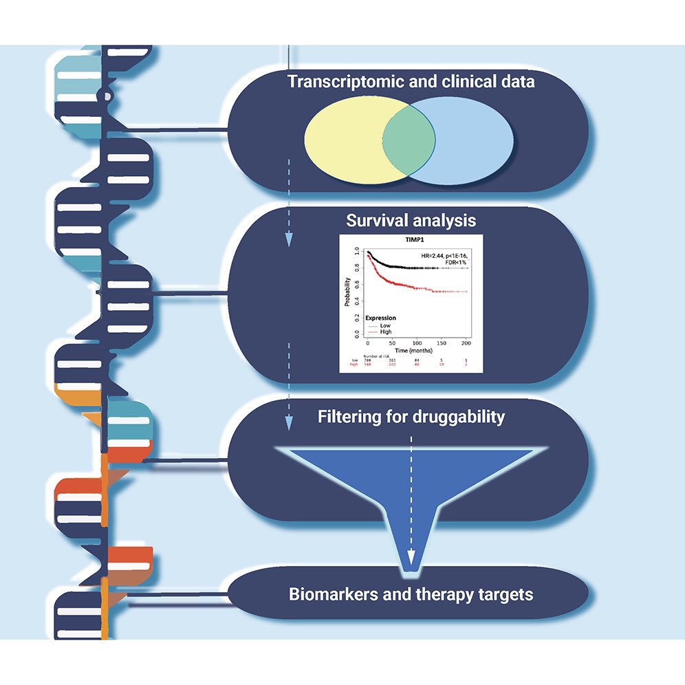 🎯kmplot.com Integrated analysis of public datasets for the discovery and validation of survival-associated genes in solid tumors. @Innov_Medicine @The_InnovationJ #AACR24 @OncoDaily @AACR #CancerResearch #Oncology #bioinformatics cell.com/the-innovation…