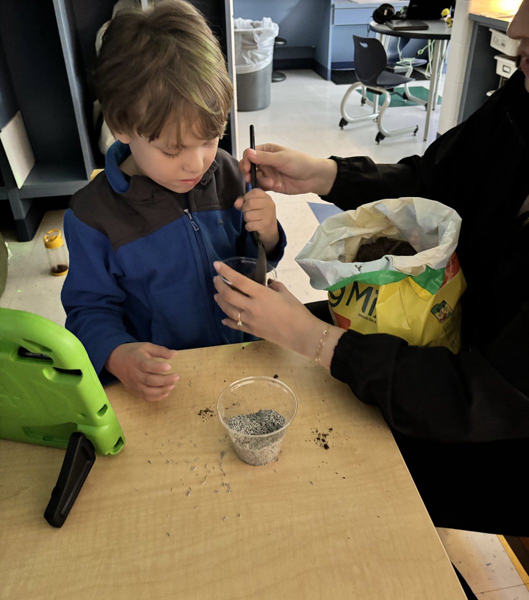 Bee_neoxo's tweet photo. Planting our seeds to see how fast our grass grows!!!! Love my crew so much. #CrosbeeSTARS ⭐️ #HarvardCUSD50 https://t.co/LVagOWJ3hQ