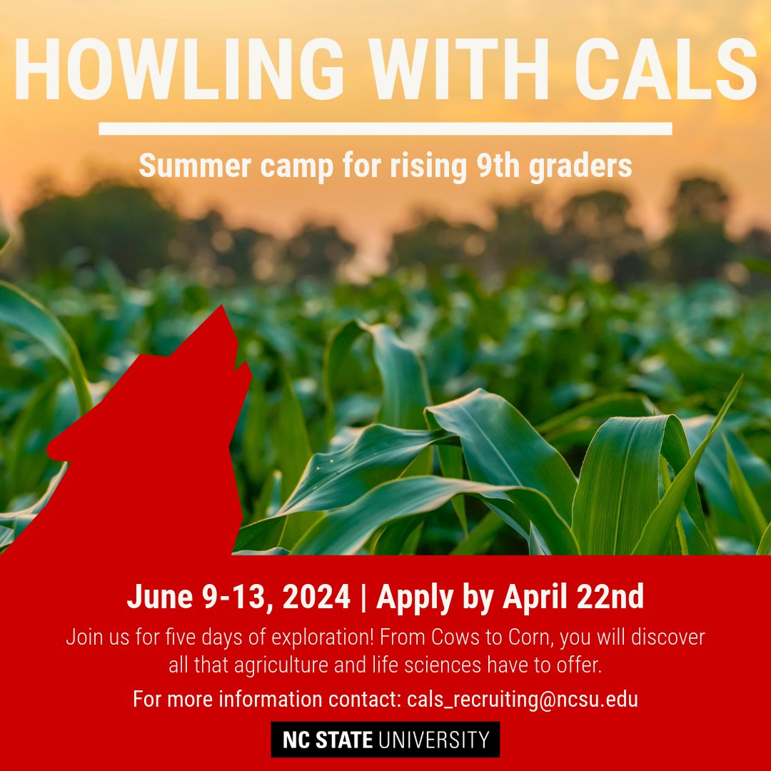 Hey parents of rising high schoolers! 👋 @NCStateCALS' Howling with CALS Camp allows rising high-school freshmen from rural N.C. counties or underrepresented communities to reside on NC State's campus and learn more about ag and life sciences. Apply now: ncst.at/EEWL50RchoM