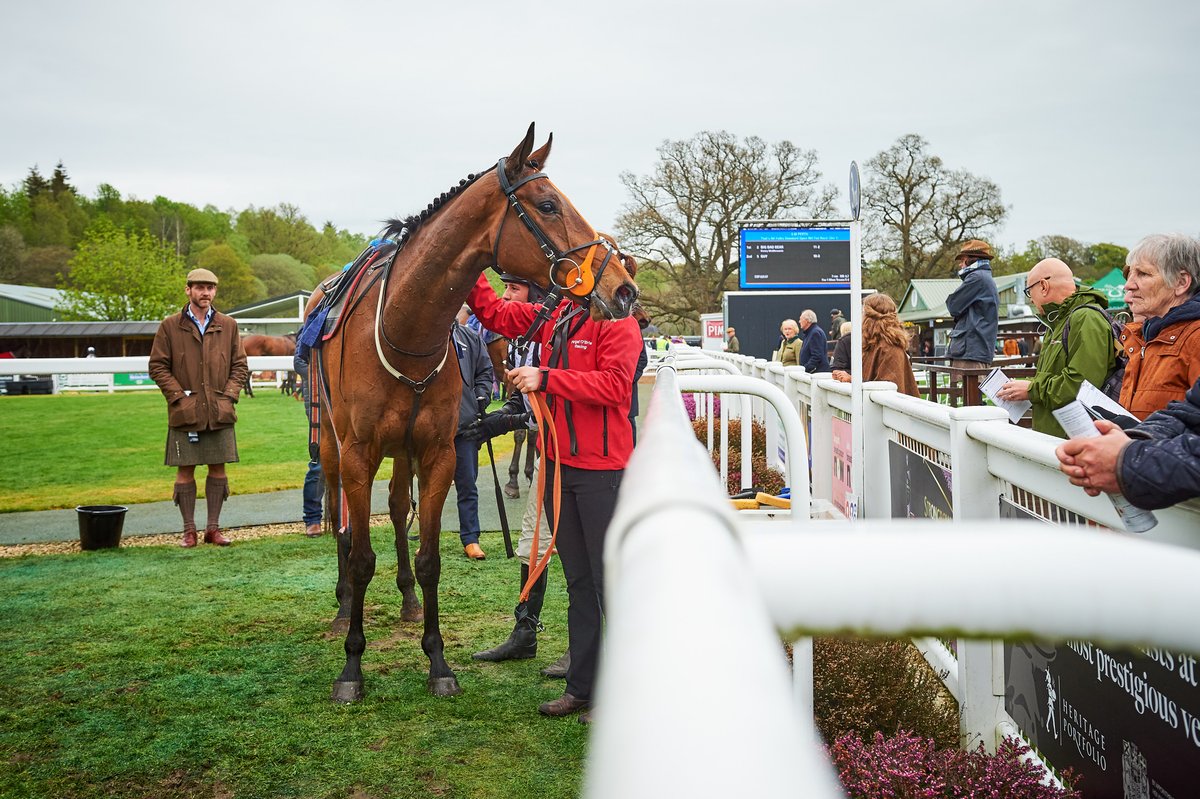 2 weeks until we open our gates! The Perth Festival is just around the corner, consisting of 21 races and featuring the Highland National Handicap Chase! This is a season opener you don't want to miss 🐎💃 Secure your tickets online for the best price > ow.ly/ryRT50Rc9lv