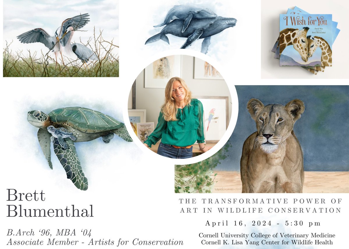 Join us next Tuesday, April 16 at 5:30pm EDT for this special hybrid event! #Cornell alumna Brett Blumenthal BArch ’96, MBA ’04, will be discussing 'The Transformative Power of Art in Wildlife Conservation.' Register here to attend online or in person: events.cornell.edu/event/the-tran…