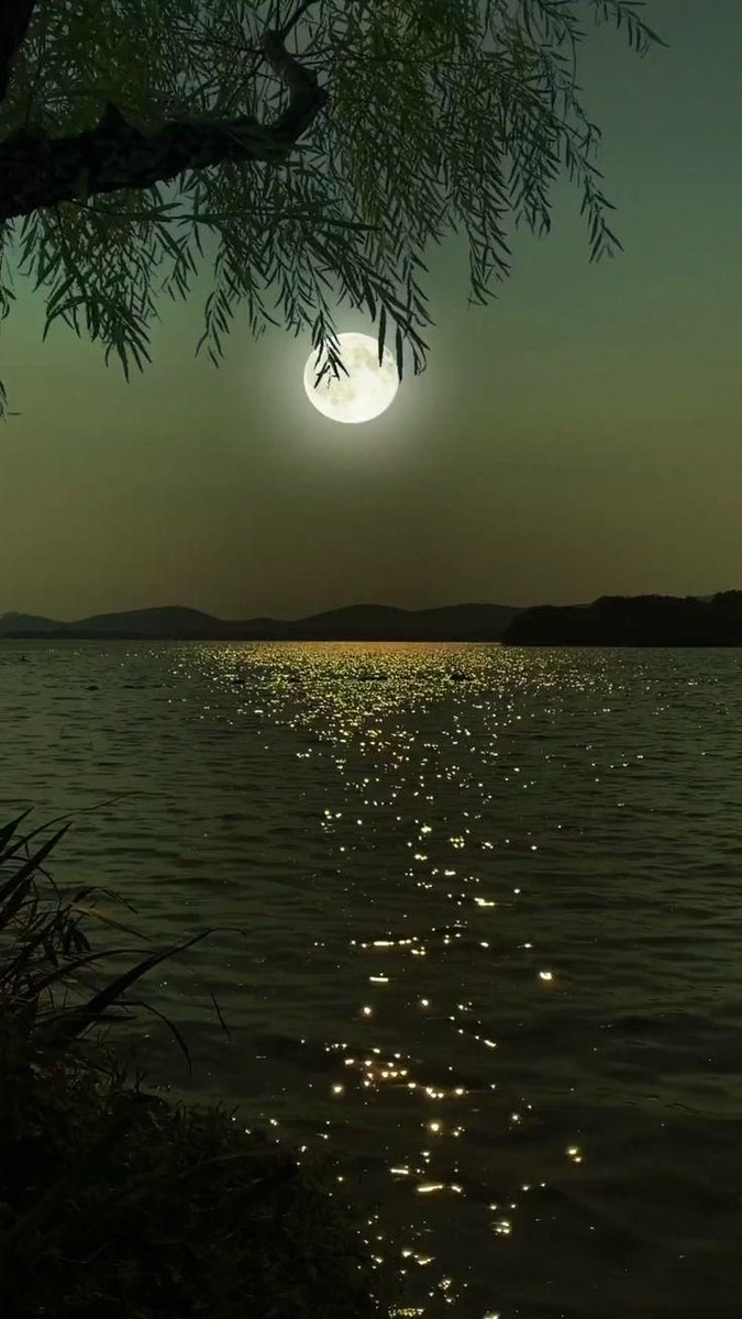 Goodnight my friends ! #photos #night #moonlight