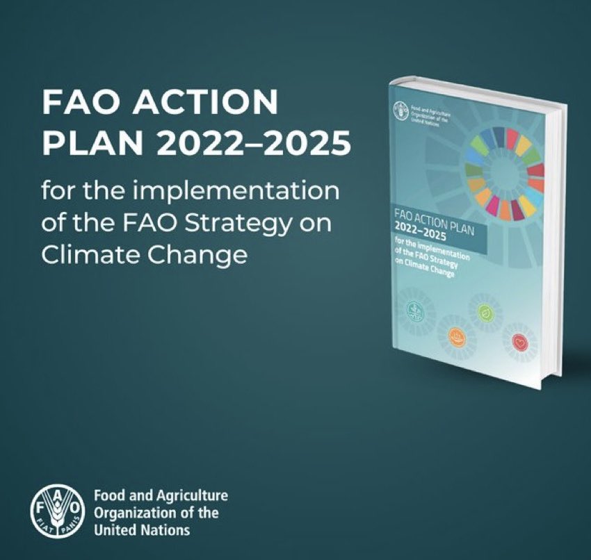 We cannot end world hunger without taking collective #ClimateAction. Have a look at @FAO’s action plan that guides countries and stakeholders, ensuring that @FAO's Strategy on Climate Change effectively helps to tackle the #ClimateCrisis. 👉 bit.ly/43BrQGJ