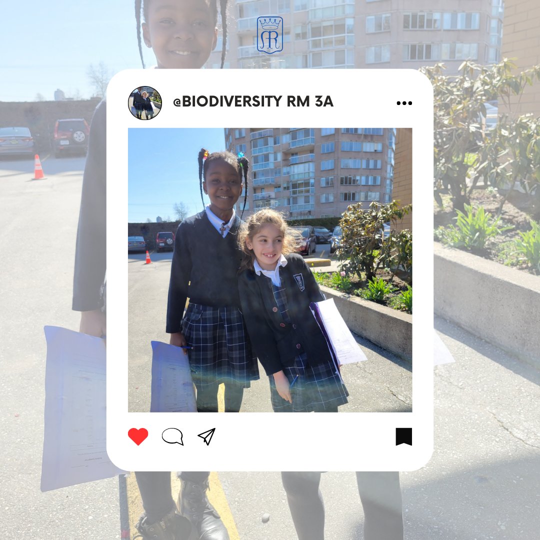 Ms. Crosara's class learning about Biodiversity through a Scavenger Hunt yesterday! What a beautiful weather to explore nature! #icdeltalearns #icdeltaschool #elementary #CISVA #catholicschool #deltabc #surreybc #nature #biodiversity #room3A #sunshine #letsexplore