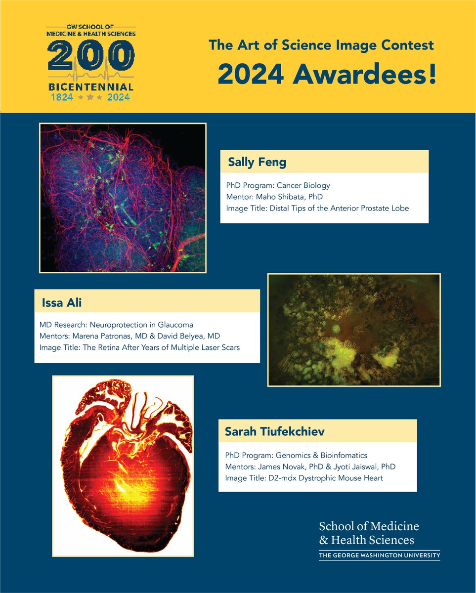 Thrilled to congratulate the winners of this year's @GWSMHS Art of Science contest, Sally Feng (mentor: @MahoShibata) Issa Ali (Dr. Patronas and Dr. Belyea) and Sarah Tiufkchiev (Dr. Novak)! Our new GWIBS cover photo features Sally's image. #PrizeProps #Art #Science 🎨 📸🧬