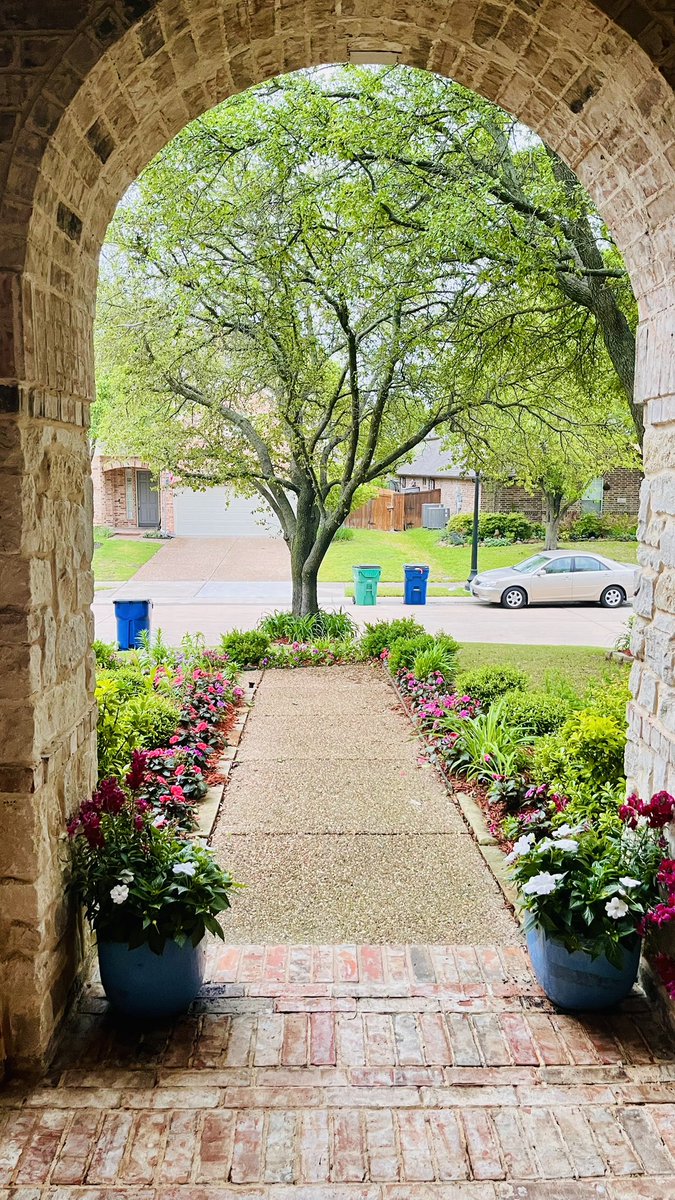 Posting this photo because all that is beautiful doesn’t have to be perfect, the trash bins add that touch here or vice versa-beauty is in the eye of the beholder. 🌺🗑️🌳