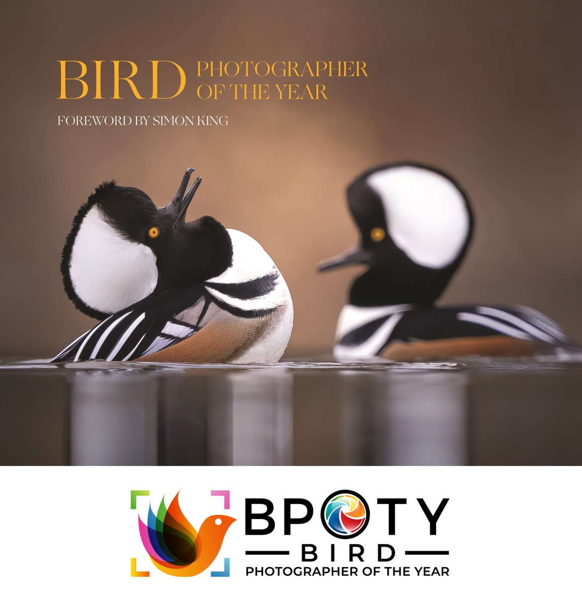 We are delighted to share plans to publish Bird Photographer of the Year in North America and the UK this autumn. The book will be released in both markets on September 24, the same day winners of the annual @BirdPOTY competition are announced. Read more: hubs.ly/Q02spPyy0