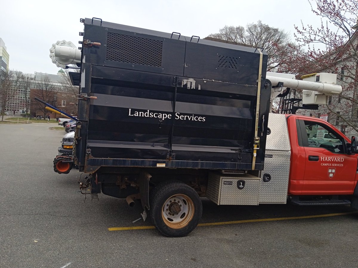 Landscape services in front of the Harvard physics department. The irony....