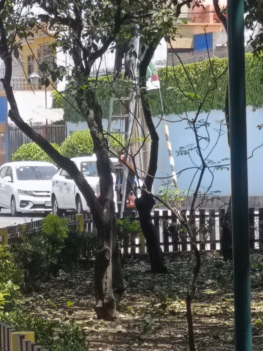 Nos envían la siguiente denuncia:

“En esos momentos personal de la alcaldía #Azcapotzalco colgando propaganda de Margarita Saldaña en la Colonia Clavería calle Clavería y Norte 81, una flagrante violación a la ley electoral”