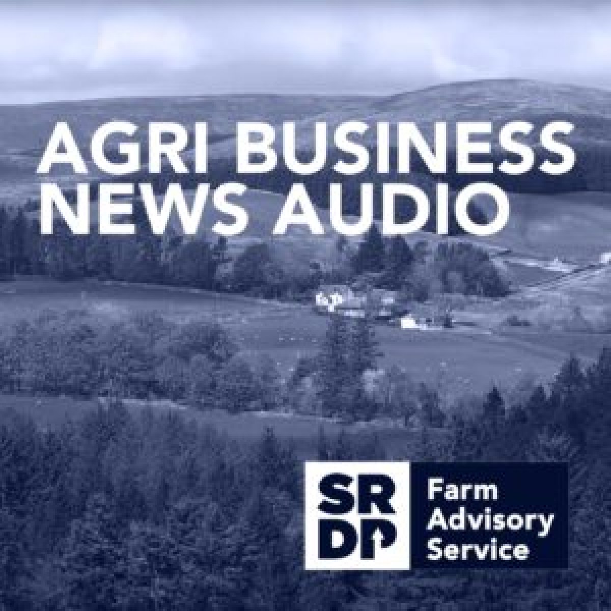 Want to catch up with the latest Agribusiness News on the go? Listen to our April edition here, with highlights on muck & straw, Scottish sheep meat, vet spend and future proofing your retirement. ➡️ fas.scot/publication/ag…