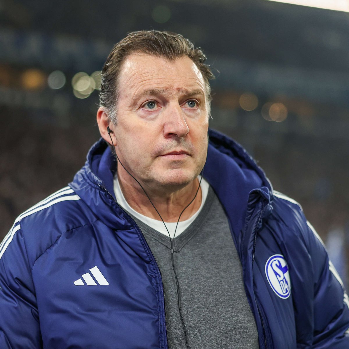 SchalkeZone tweet media