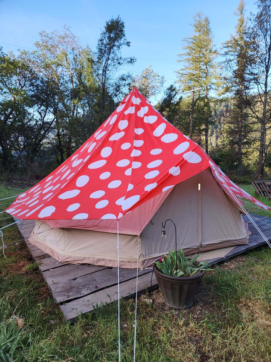 We are setting up our tents early this year in preparation for the arrival of our new apprentices, and I was worried about late spring rains.  I found these rain flies for my @stouttents that look like 🍄!  I love them so much!  What do you think?
#glampingtents
#apprenticeship