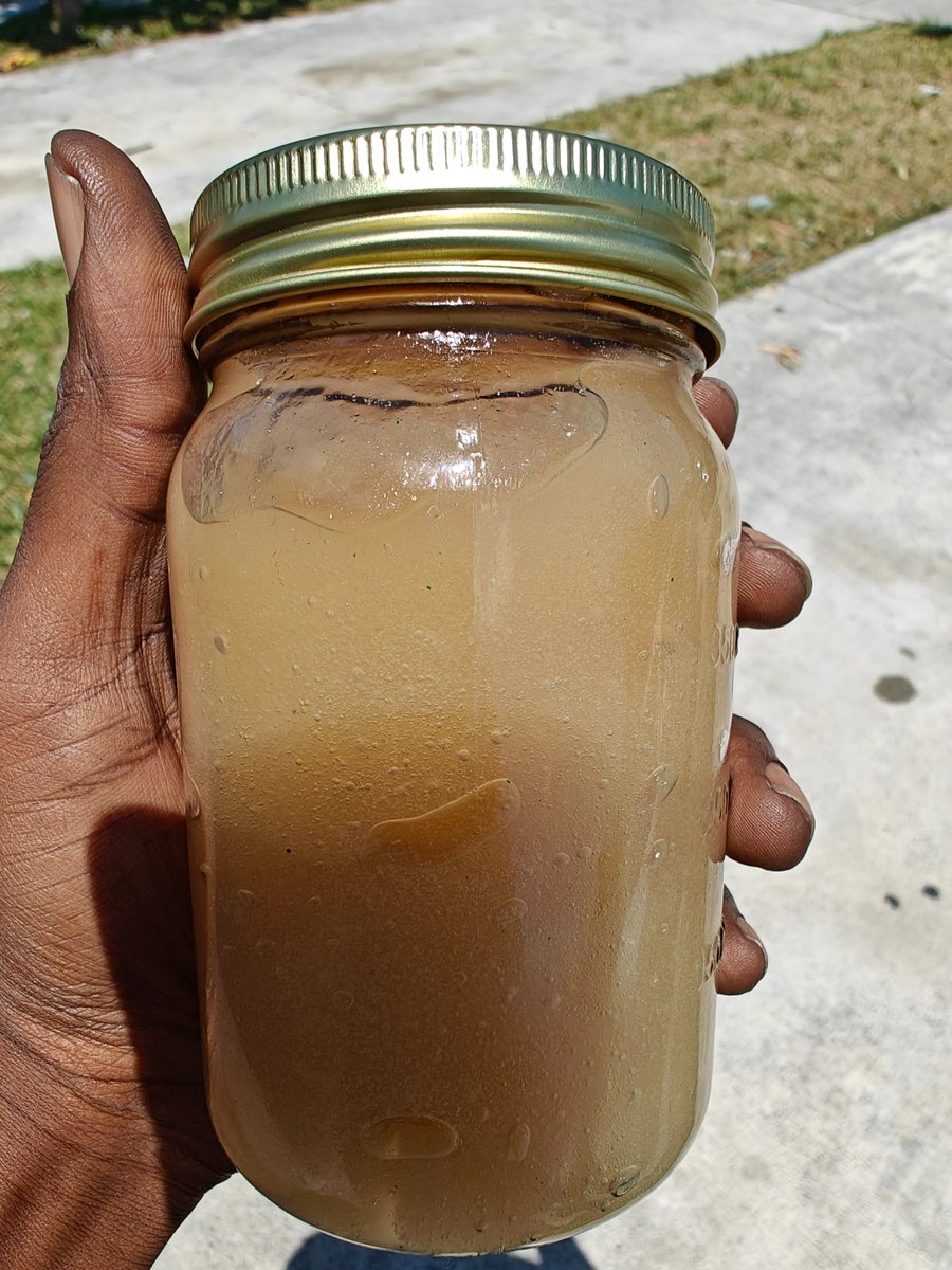 My first time making sea moss gel. It's super easy! youtube.com/shorts/KscDufE…