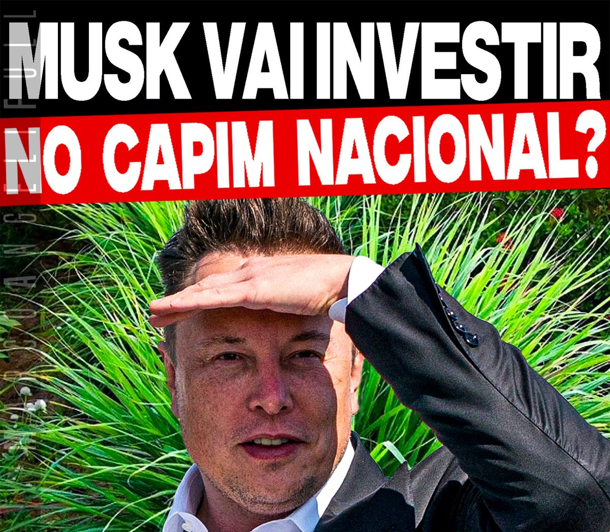 marcoangeli's tweet photo. Intrigado e desafiado pela brilhante e profunda afirmação do presidente brasileiro Lula da Silva, a de que 'nunca produziu um pé de capim' em terras brasileiras, Elos Musk caiu em reflexão:
'-Como ninguém pensar nessa wonderful ideia antes?'
E como não é homem de deixar pra plantar -que é o correto, e não produzir, Lula- amanhã o que pode plantar hoje, já iniciou estudos para a plantação em massa de capim sintético em terras brasileiras.
Cálculos iniciais indicam de forma promissora que as possibilidades são enormes: se iniciada hoje, a plantação suprirá as necessidades alimentares de todos os esquerdistas do Brasil em 2025 e ainda sobra pra França.
Ao provocar Musk, Lula executa uma jogada de mestre: tira a atenção da horda petista da picanha e ainda por cima tem a possibilidade, novamente, de encher as ruas de apoiadores gordinhos pagos com capim de primeira.
O capim de Musk será tão versátil e terá tanta qualidade que poderá, ainda, ser produzida uma série gourmet, especial, dedicada para consumo exclusivo de jornalistas e casta petista.
É o Brasil do capim caminhando pro futuro, ao lado de outras grandes conquistas, como a mandioca da Dilma ou os galpões de vento estocado da citada.
Há males que realmente vem pra bem, se você tiver uma inteligência privilegiada como a de Lula.

*Contém alto grau de ironia. Consuma com moderação.