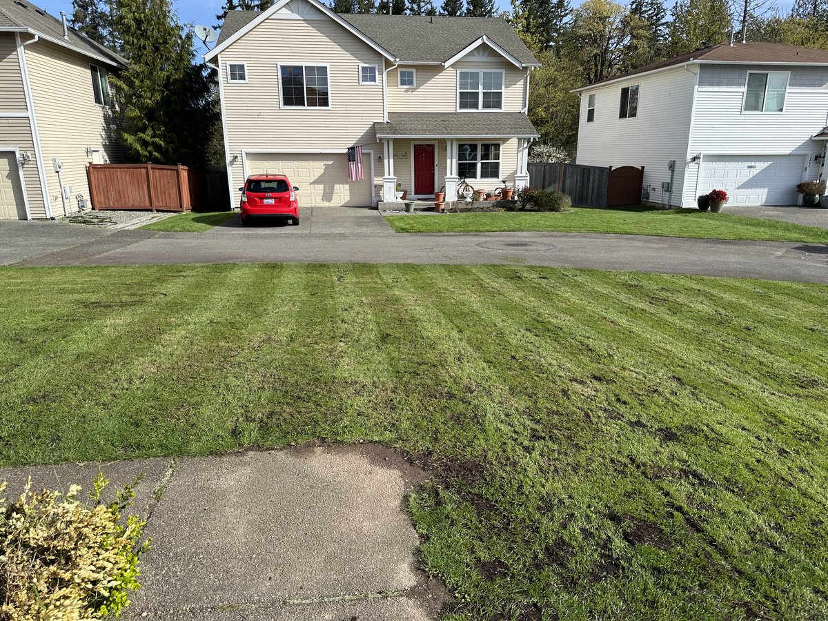 Turf is dethatched, aerated, and seeded…. Give me two weeks over 60 degrees. #reelmowersharp