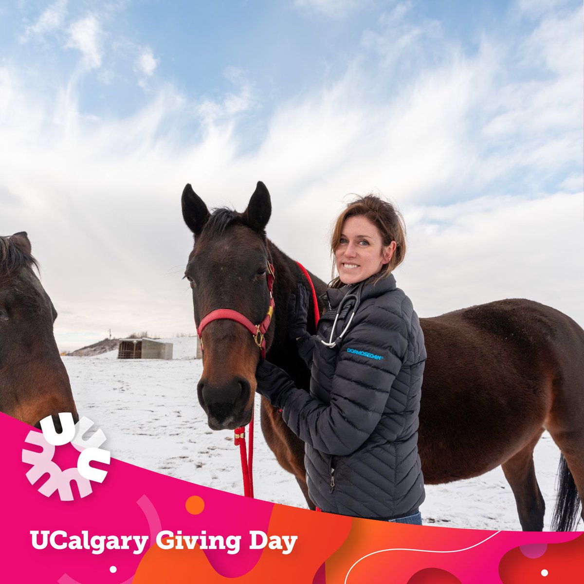 Giving Day supports students like Kasara, a vet and PhD student. Speaking about Giving Day, she shares, “I think that the possibilities for what can happen in research are kind of endless. No matter how small you may think your contribution is, it can have far-reaching impacts.”