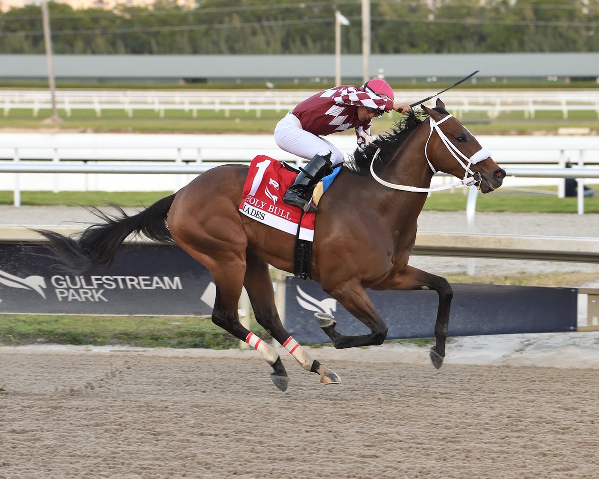 The Holy Bull Stakes champion Hades is 'going all out' to win the Lexington Stakes at Keeneland & make the Kentucky Derby starting gate, trainer Joe Orseno said: racingdudes.com/lexington-stak…